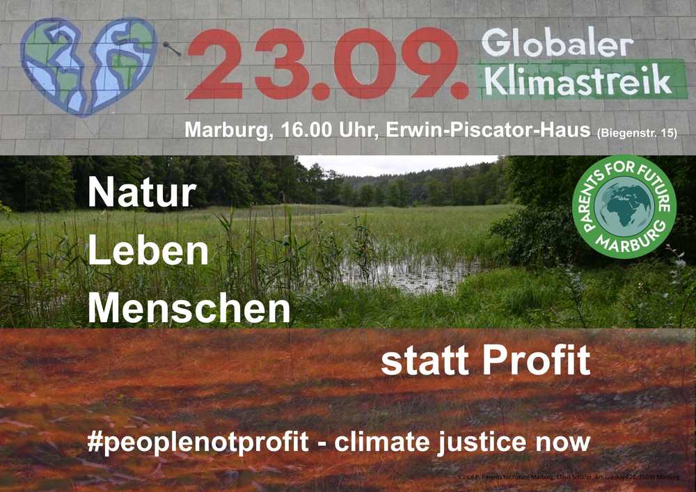 #peoplenotprofit - es gibt kein"Weiter so" - auch kein Grünes.